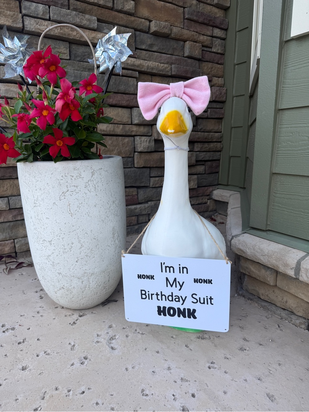 Sign only for Porch Goose. Plastic sign “I’m in my birthday suit”